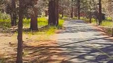 Alpine Pedal Path