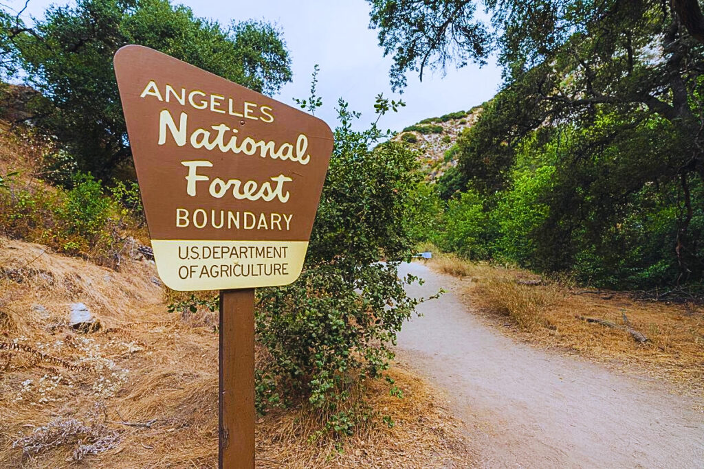 Angeles National Forest
