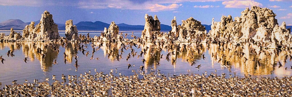 Mono Lake California