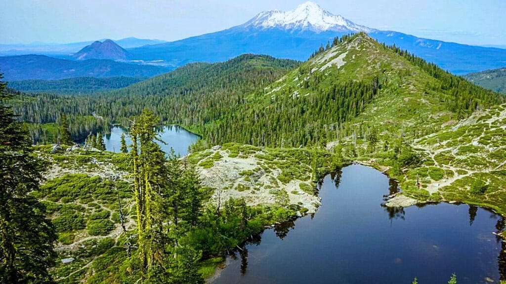 Shasta Lake