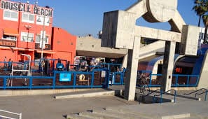 muscle beach venice photos