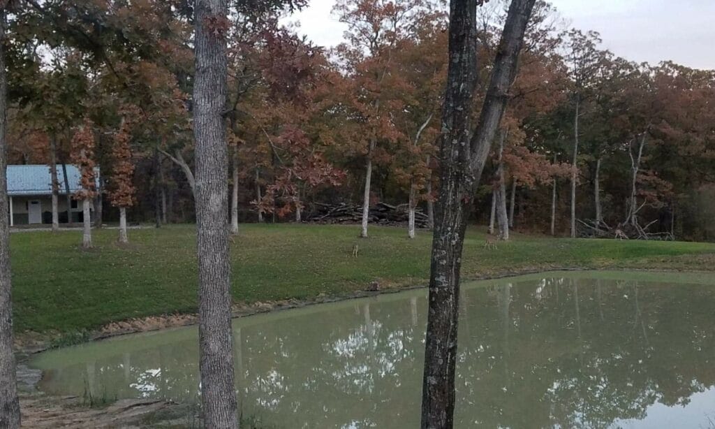 Oak Hollow