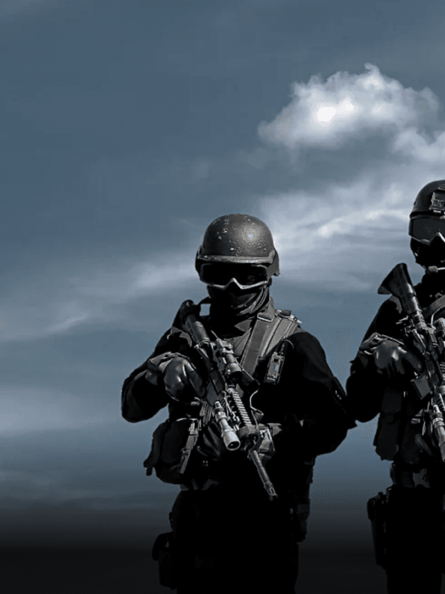 What is Martial law ?