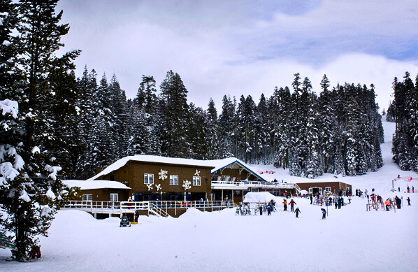 Badger pass Lodge