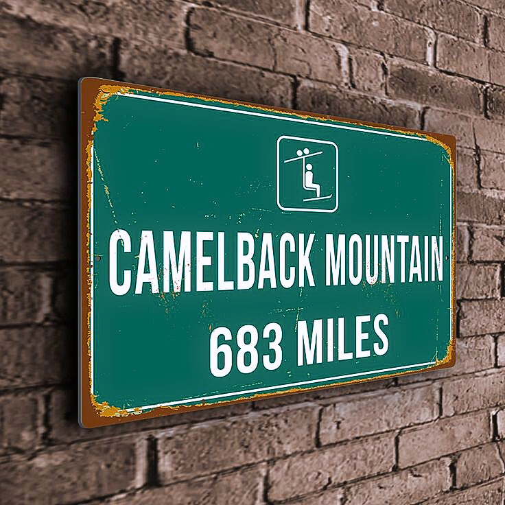 Camelback Board