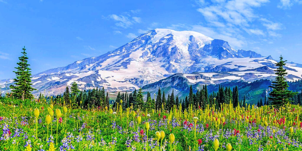 Mount Rainier