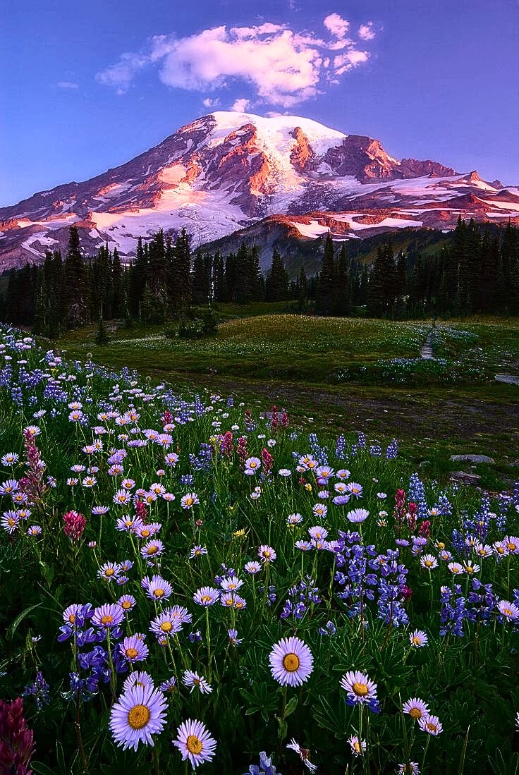Spring Mountain