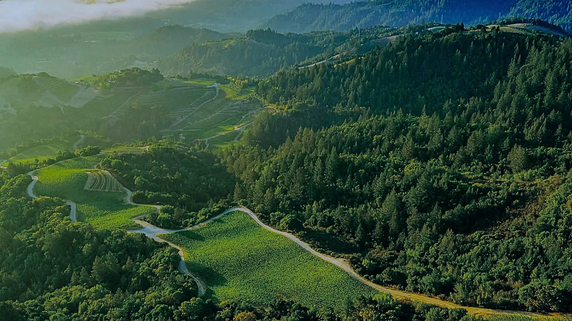 Spring Valley Mountain