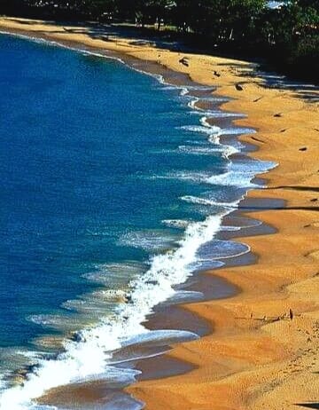 Pearl Beach Australia