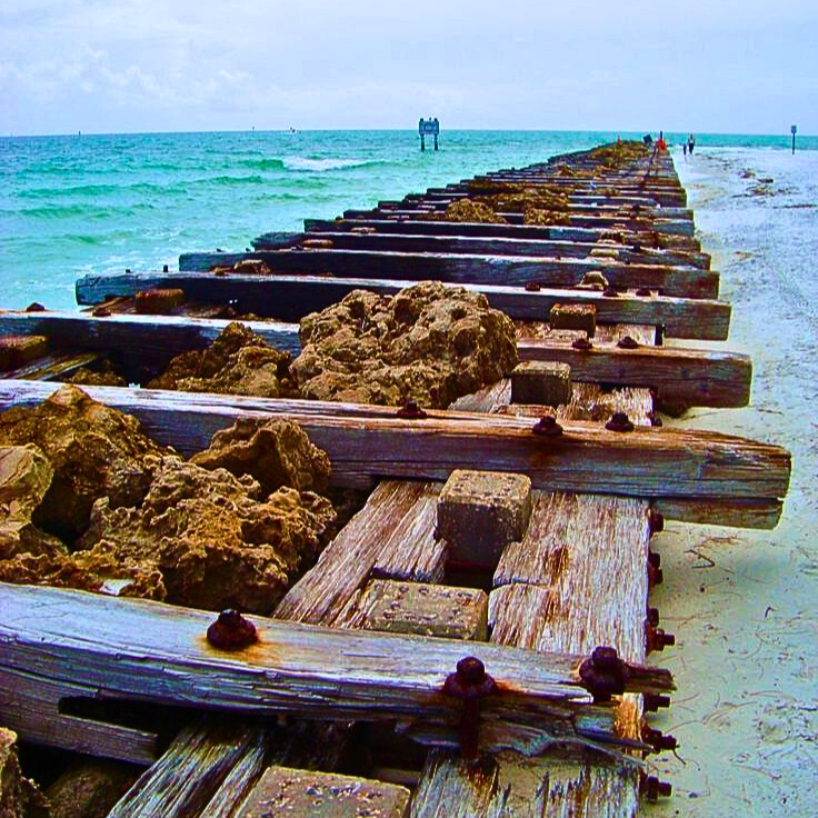 Florida Coquina Beach Anna Maria Island