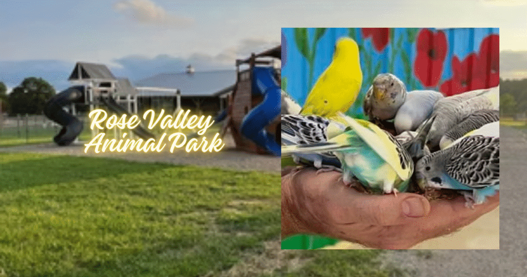 Rose Valley Animal Park