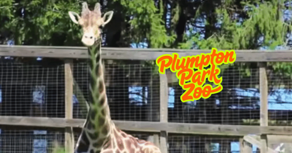 Plumpton Park Zoo Maryland