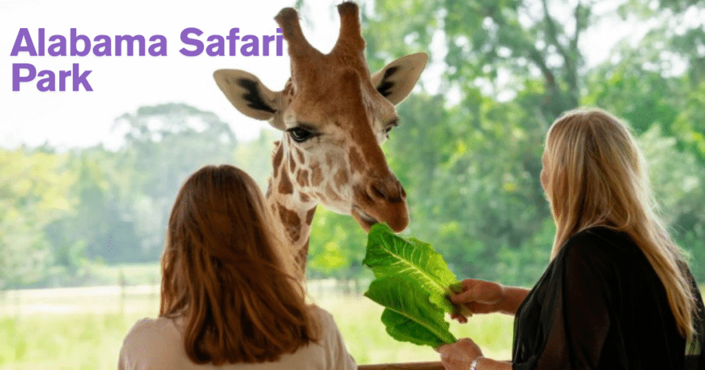 Alabama Safari Park