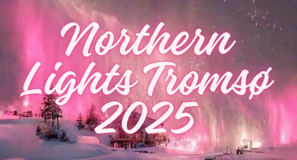 Northern Lights Tromsø 2025