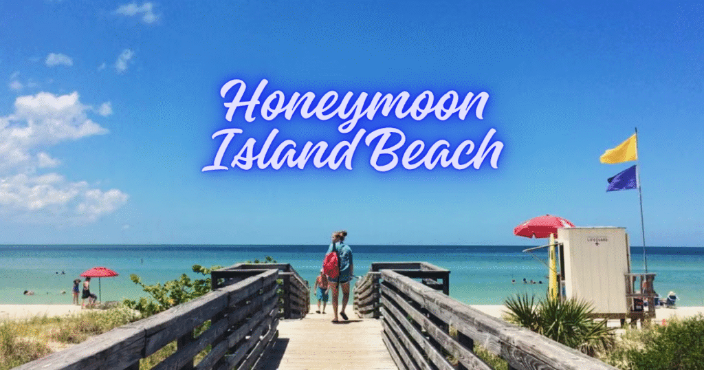 Honeymoon Island Beach