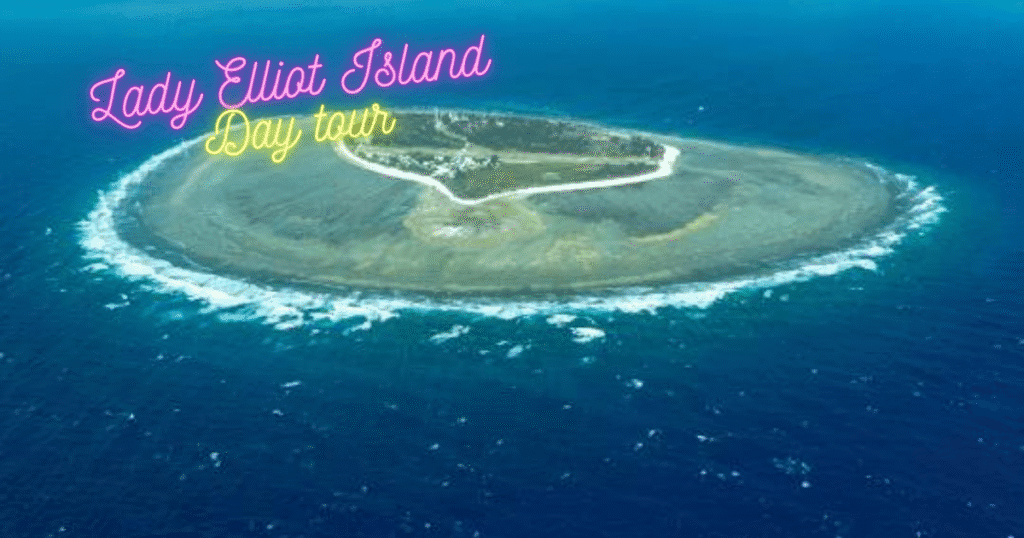 Lady Elliot Island Day tour