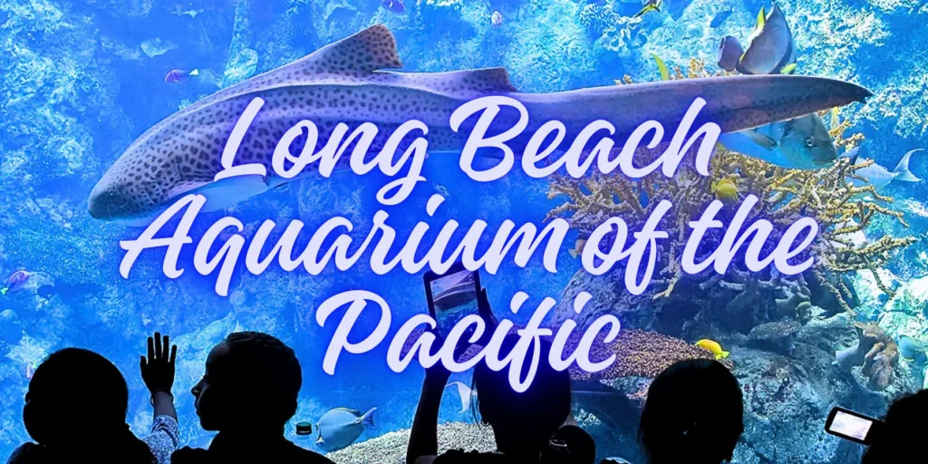 Long Beach Aquarium of the Pacific
